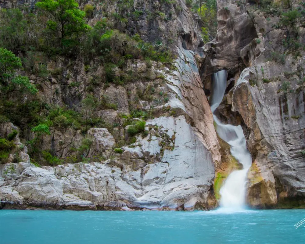 El Salto - Ciénea de Gonzalez