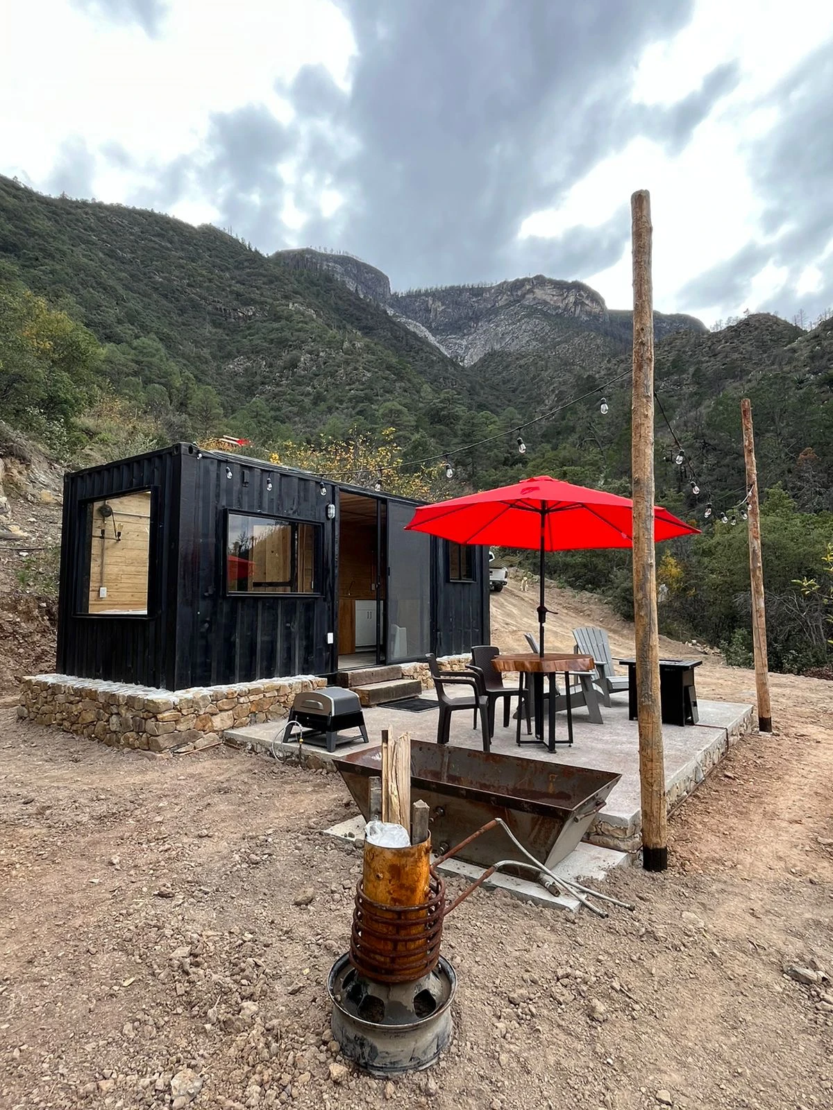 Pájaro Azul Vive Libre